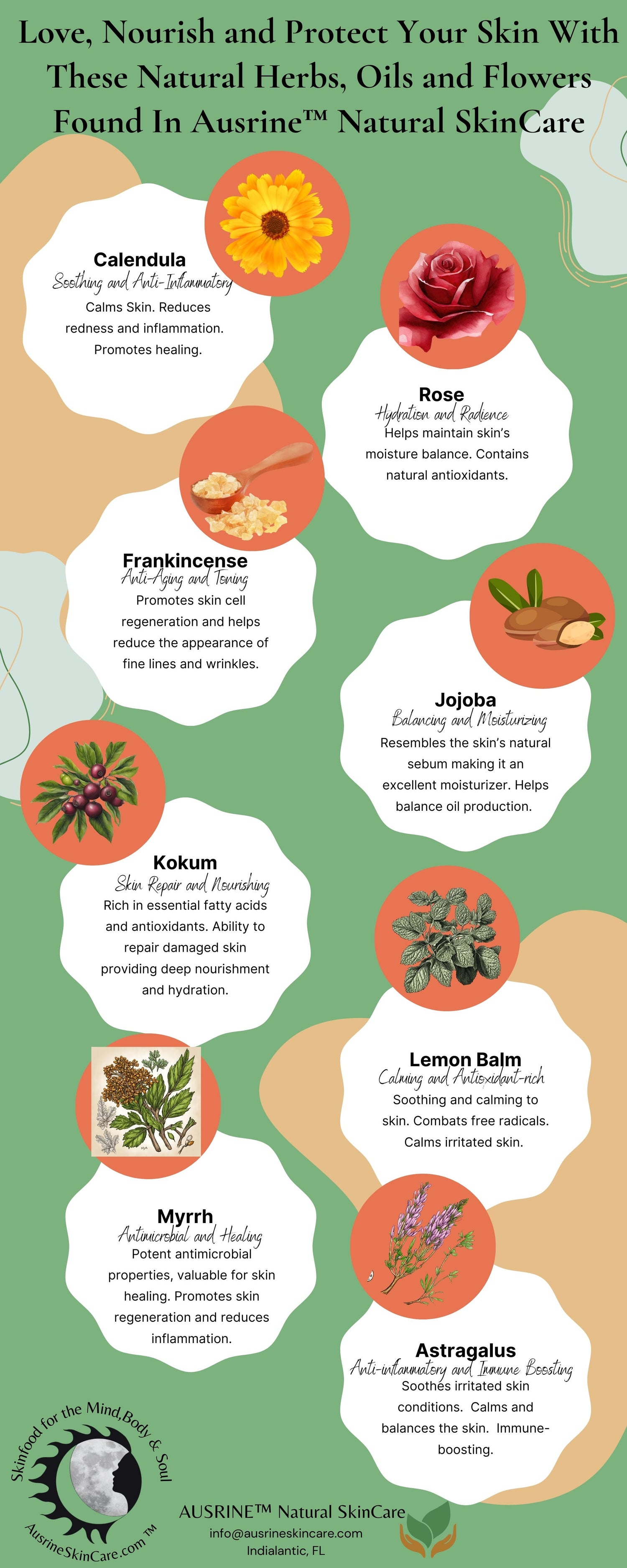 Your Skin Is Your Largest Organ... What Is In Your Products?